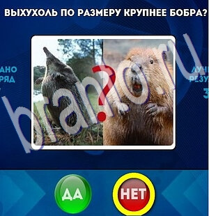 Игра Да или Нет ответы Уровень 2247