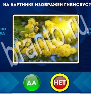 Да или Нет игра помощь Уровень 2265