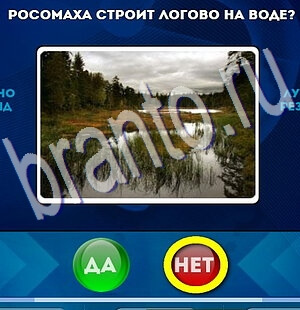 игра Да или Нет помощь Уровень 2269