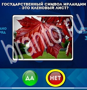 Да или Нет игра подсказки Уровень 2274