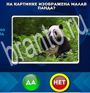игра Да или Нет ответ на Уровень 2280