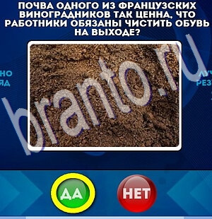 Подсказки на игру Да или Нет Уровень 2312