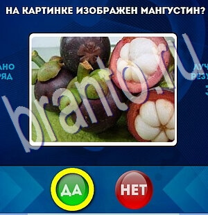 Помощь на игру ВК Да или Нет Уровень 2314