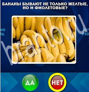 Одноклассники Да или Нет ответы Уровень 2318