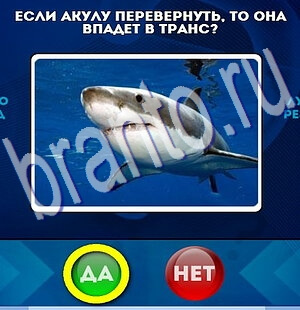 игра Да или Нет ответ на Уровень 2320
