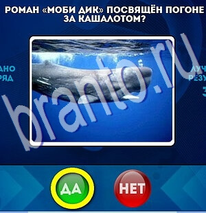 Да или Нет решения Уровень 2322