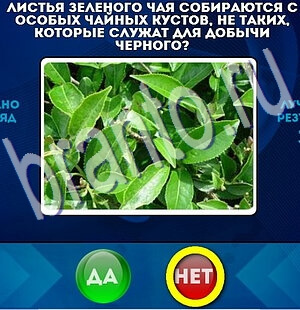 Да или Нет игра помощь Уровень 2325