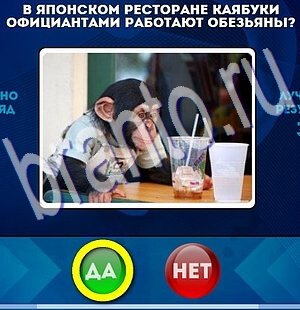 Игра Да или Нет ответы Уровень 2327