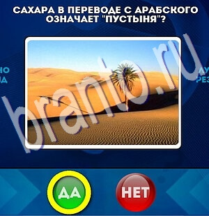 Да или Нет игра помощь Уровень 2335