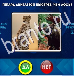 игра Да или Нет ответ на Уровень 2410