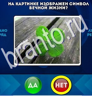 Да или Нет подсказки в контакте Уровень 2439