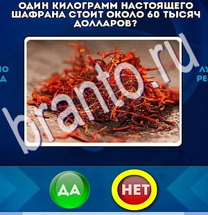 игра Да или Нет ответ на Уровень 2440