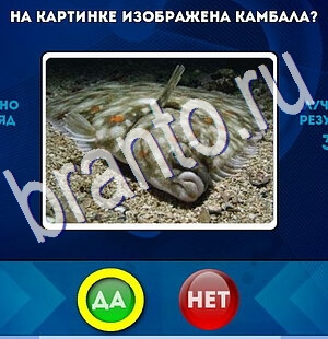 Да или Нет игра помощь Уровень 2445