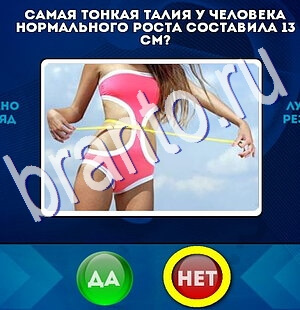игра Да или Нет ответ на Уровень 2450