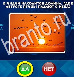Да или Нет игра ответы Уровень 2453