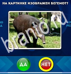 Да или Нет игра подсказки Уровень 2454