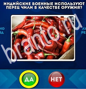 Подсказки на игру Да или Нет Уровень 2462