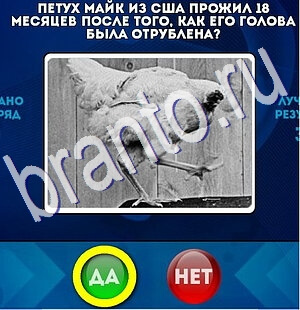 ответы на игру в одноклассниках Да или Нет Уровень 2466