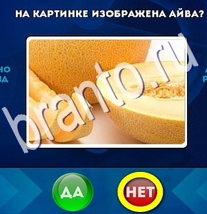 Игра Да или Нет ответы Уровень 2477