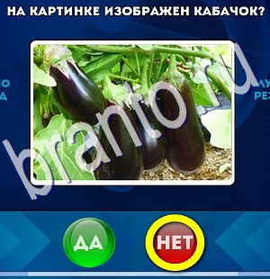 Да или Нет игра ответы Уровень 2483