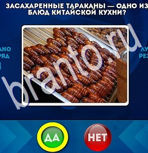Игра Да или Нет ответы Уровень 2487