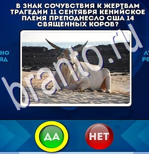 ответы на игру Да или Нет в одноклассниках Уровень 2491