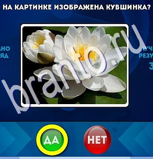 ответы к игре Да или Нет Уровень 2495