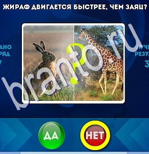 Да или Нет игра помощь Уровень 2505