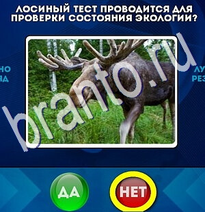 Да или Нет решения Уровень 2512