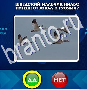 Да или Нет игра помощь Уровень 2515