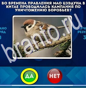 Да или Нет ответы в картинках Уровень 2516