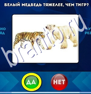 игра Да или Нет ответ на Уровень 2520
