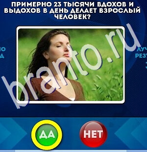 Помощь на игру ВК Да или Нет Уровень 2524