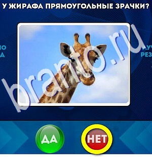 Да или Нет подсказки в контакте Уровень 2529