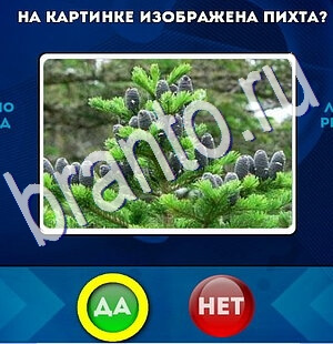 решебник на игру Да или Нет Уровень 2531