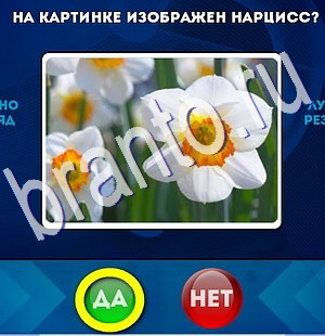 решебник на игру Да или Нет Уровень 2541