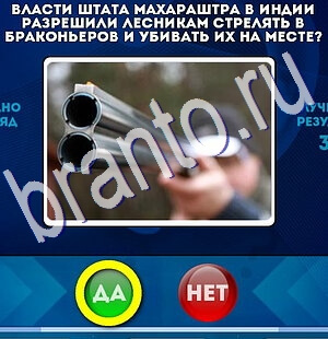 игра Да или Нет ответ на Уровень 2560