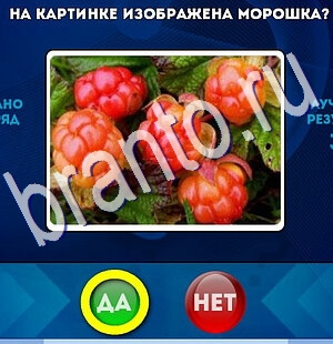 Да или Нет игра помощь Уровень 2565