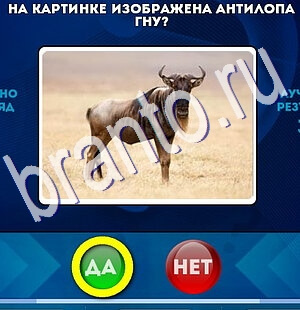 Игра Да или Нет ответы Уровень 2567