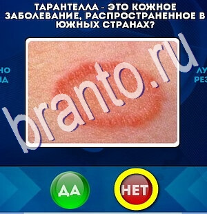 Да или Нет ответы в картинках Уровень 2576