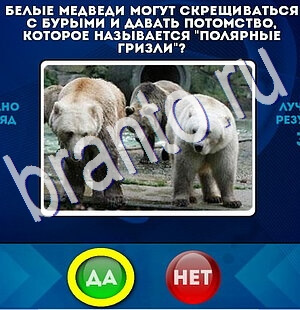 Игра Да или Нет подсказки Уровень 2578