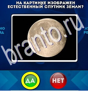 Да или Нет игра ответы Уровень 2593