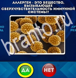 Игра Да или Нет ответы Уровень 2597