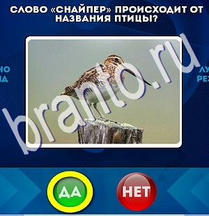 Да или Нет решения Уровень 2602