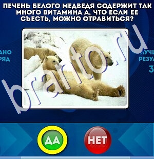 ответы на игру Да или Нет в одноклассниках Уровень 2611