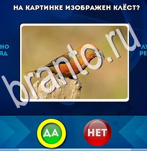 ответы на игру в одноклассниках Да или Нет Уровень 2616