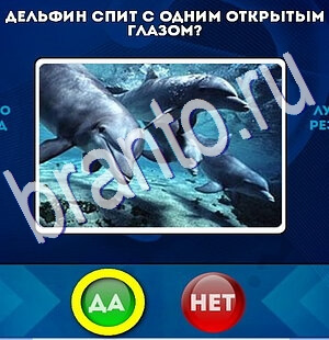Да или Нет игра ответы Уровень 2623