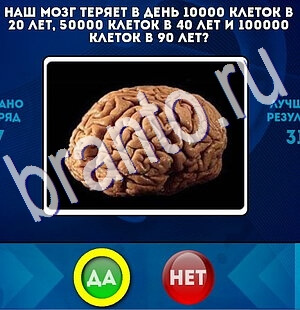 Да или Нет игра помощь Уровень 2625