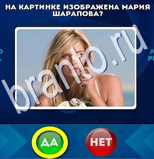 Игра Да или Нет подсказки Уровень 2628