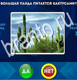 Да или Нет решения Уровень 2632